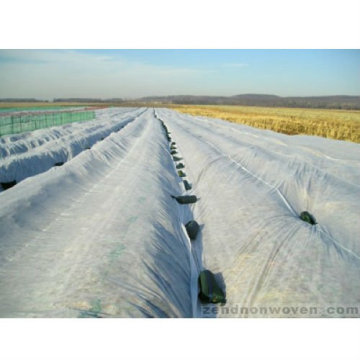 Tecido não tecido largo de cobertura para plantas de inverno